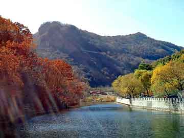 新澳天天开奖资料大全旅游团，穿越时空之我的野蛮皇后